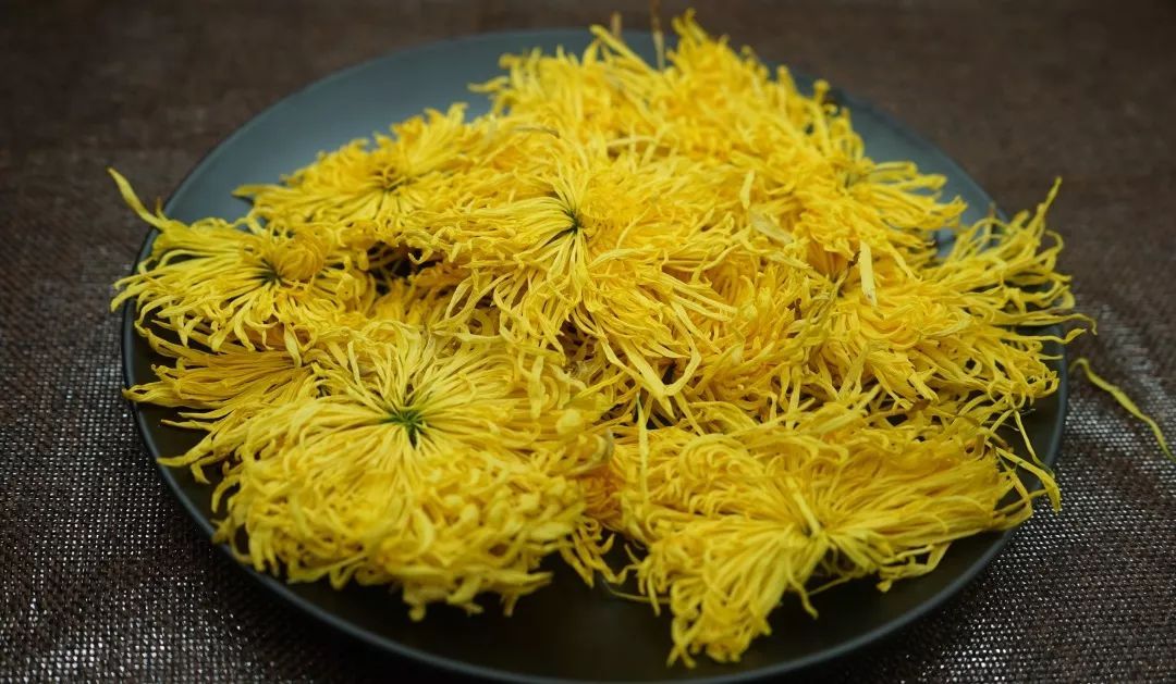 金丝皇菊 金丝皇菊